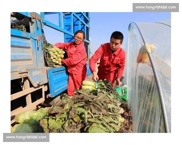 陕西姑娘敢打敢拼 英姿绽放三秦大地 陕西姑娘敢打敢拼 英姿绽放三秦大地